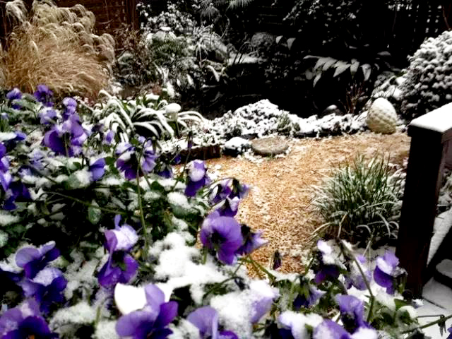 英式乡村私家花园设计实景案例冬季景观